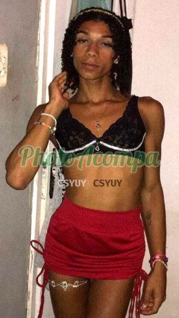 ngel-21-968353665-novinha-trans-dotada-afim-de-sexo-disponvel-big-1