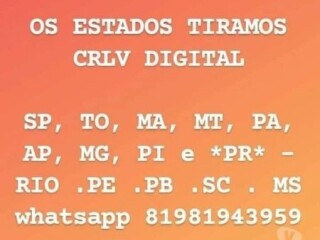 Despachante marinaldo Recife PE Profissionais liberais no [***] 