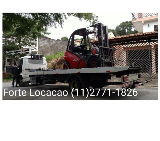 locacao-empilhadeira-e-tartarugas-aracariguama1127711826-aracariguama-sp-servicos-especializados-no-135030314-big-0