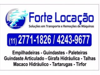 Locacao kit remocao paleteira girafa empilhadeira 27711826 Emb Servicos especializados no 149878958 