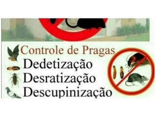 Controle de Pragas em zona sul de Porto Alegre Desentupidor Porto Alegre Sul Servicos especializados no [***] 