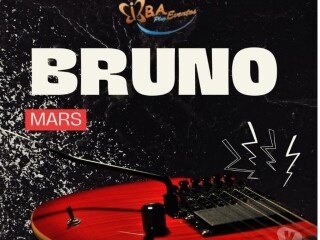 TRANSPORTE AO SHOW DO BRUNO MARS Campinas SP Excurses e aluguel de vans no [***] 