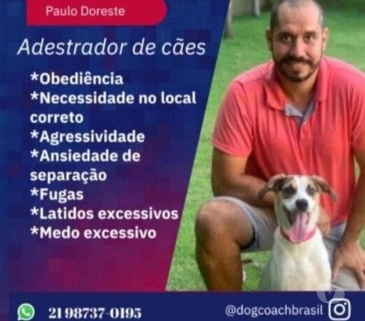 adestrador-de-ces-teresopolis-rj-pet-shops-e-veterinrios-teresopolis-rj-no-327875436-big-0