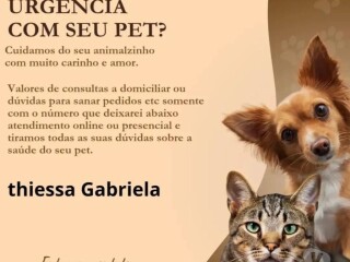 Consultas dvidas sobre pet Botucatu SP Pet shops e veterinrios Botucatu SP no [***] 