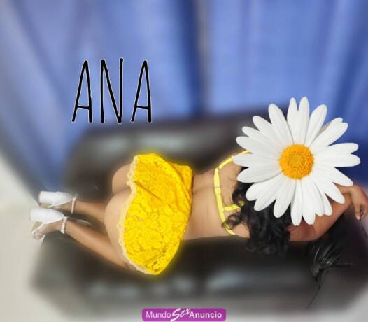 ana-nueva-en-el-medio-en-mrida-yucatn-9991198097-big-0