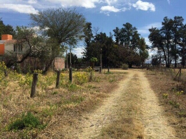 terreno-en-paseo-solidaridad-popular-en-venta-en-irapuato-clasf-animales-big-0