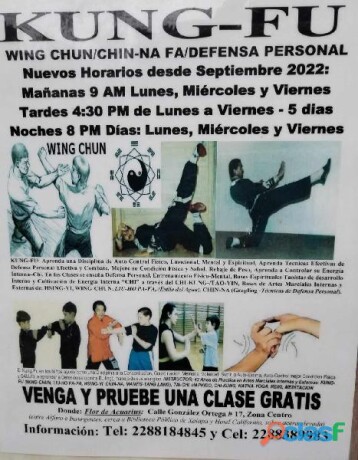 clases-de-artes-marciales-kung-fu-wing-chun-en-xalapa-en-xalapa-clasf-deportes-y-nautica-big-0