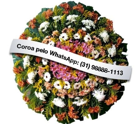 coroas-para-funeraria-assistencia-santa-clara-em-sete-lagoas-centro-sul-servicos-especializados-big-0