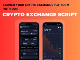 Get Elite Cryptocurrency Exchange Script With Hivelance